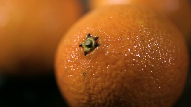 close up rotation shot of organic tangerines on black wood table. Orange fruit on a wooden background