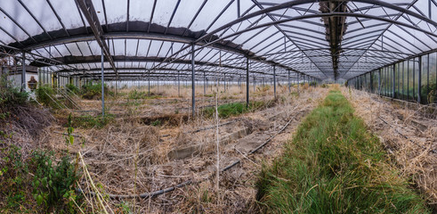 altes gewaechshaus panorama