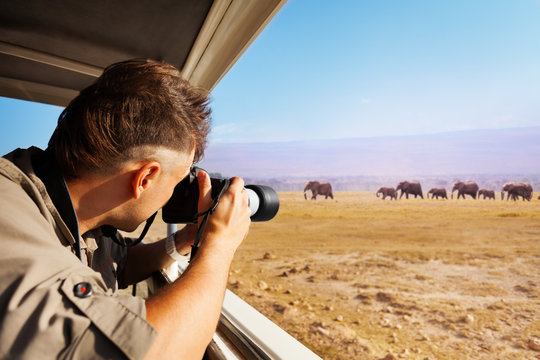 Man taking photo of elephants at African savannah