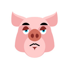 Pig sad Emoji. piggy sorrowful emotion on white background. Farm