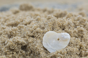 Heart shaped shell on a beach