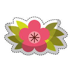 cute flower emblem icon vector illustration design
