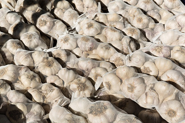 Ajos, venta en mercado.