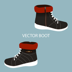 pair of winter male boots vector on blue background, illustration,