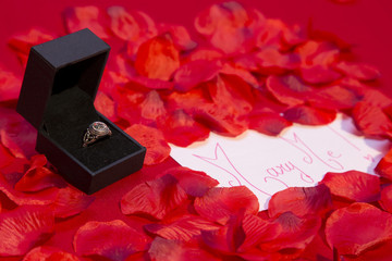 Ring in black box and red roses petals with message card on red background / wedding request / valentine's day / Image select focus