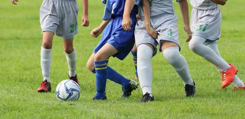 Fototapeta premium サッカー フットボール