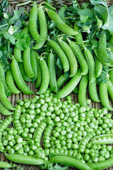 Fresh organic green peas