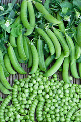 Fresh organic green peas