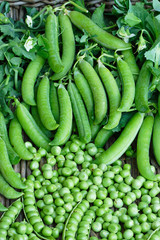 Fresh organic green peas