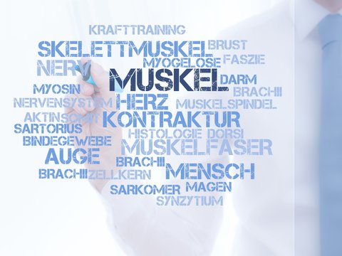 Muskel