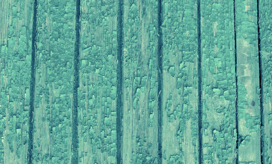 Fototapeta na wymiar Green abstract background