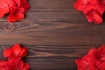 Fresh red flowers frame on wooden background