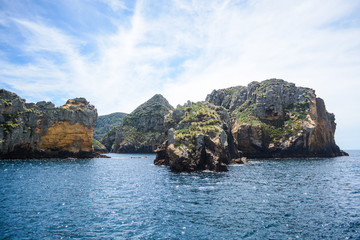 Poor Knights Islands New Zealand