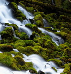 The silky white waters of Clearwater Falls in Western Oregon  flowing over  moss covered rocks and...