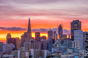 Obraz premium Downtown San Francisco