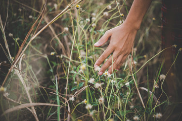 Close up of a woman's hand touching grass in field.