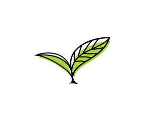 Leaf logo