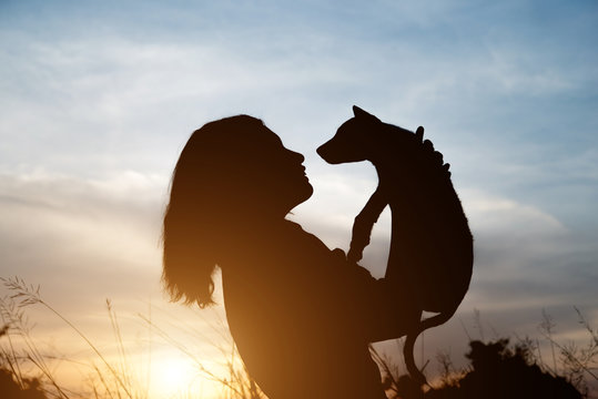 silhouette of woman holding small dog at sunset field. - Powered by Adobe
