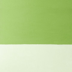 Pure green painted fabric canvas background - 135766754
