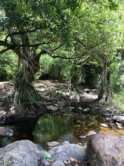 Waterfall in Thailand