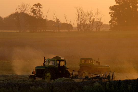 Tractores al atardecer armando Rollos para el ganado Bovino