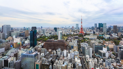 Fototapeta na wymiar Tokyo Tower cityscape Japan.