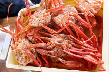 Spider King Crab at Niigata Japan