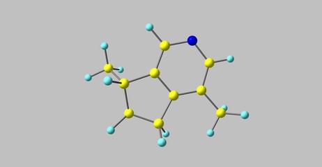 Actinidine molecular structure isolated on grey