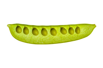 Snow Pea on a white background