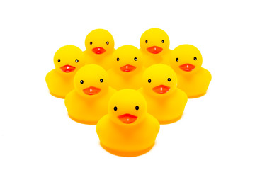Yellow rubber ducks