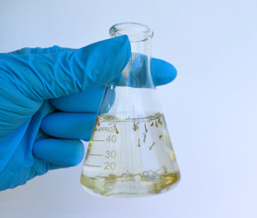 Mosquito larva in a lab flask collected from a pool