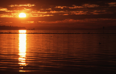 Sunset at lake Bodensee, Austria, Vorarlberg, lake Bodensee