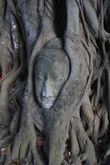 Buddha Head in Tree roots, Ayudthaya old city of Thailand.