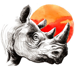 Rhinoceros and sun © berdsigns