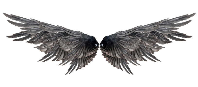 Pinion on the sprawling white