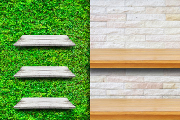 Wooden shelves with fresh green small plants and brick background use for products or something display.