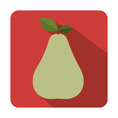 Delicious pear fruit icon vector illustration graphic design