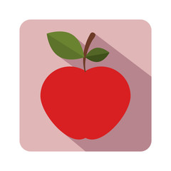 Delicious fruit icon vector illustration graphic design