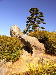 冬の日本庭園風景
