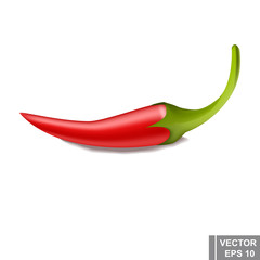 Bitter red pepper. Cartoon. For your design.