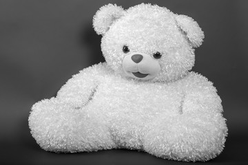 Toy - a polar bear on a black background - black and white