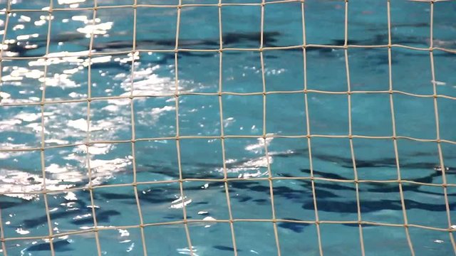 Water polo goal