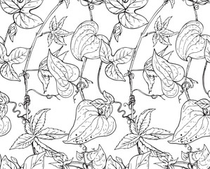 Vector seamless pattern with hand drawn bindweed flowers. 