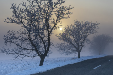 winter road with morning sun