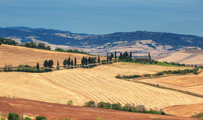 Fototapeta na wymiar typical tuscan landscape