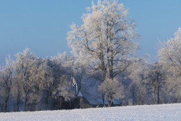 rural homestead winter morning