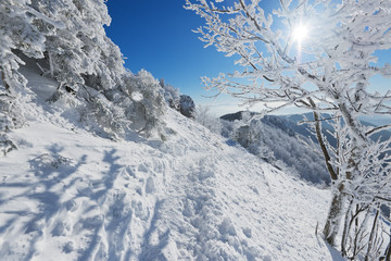 Fototapete bei efototapeten.de bestellen   