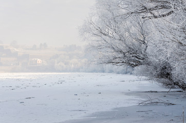 The frozen Danube River