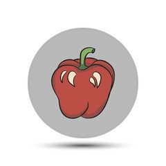 pepper. vector icon on gray background