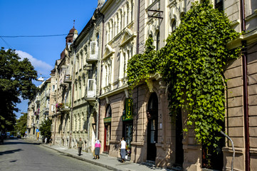 Cernivci, green house facade, Ukraine, Western Ukraine